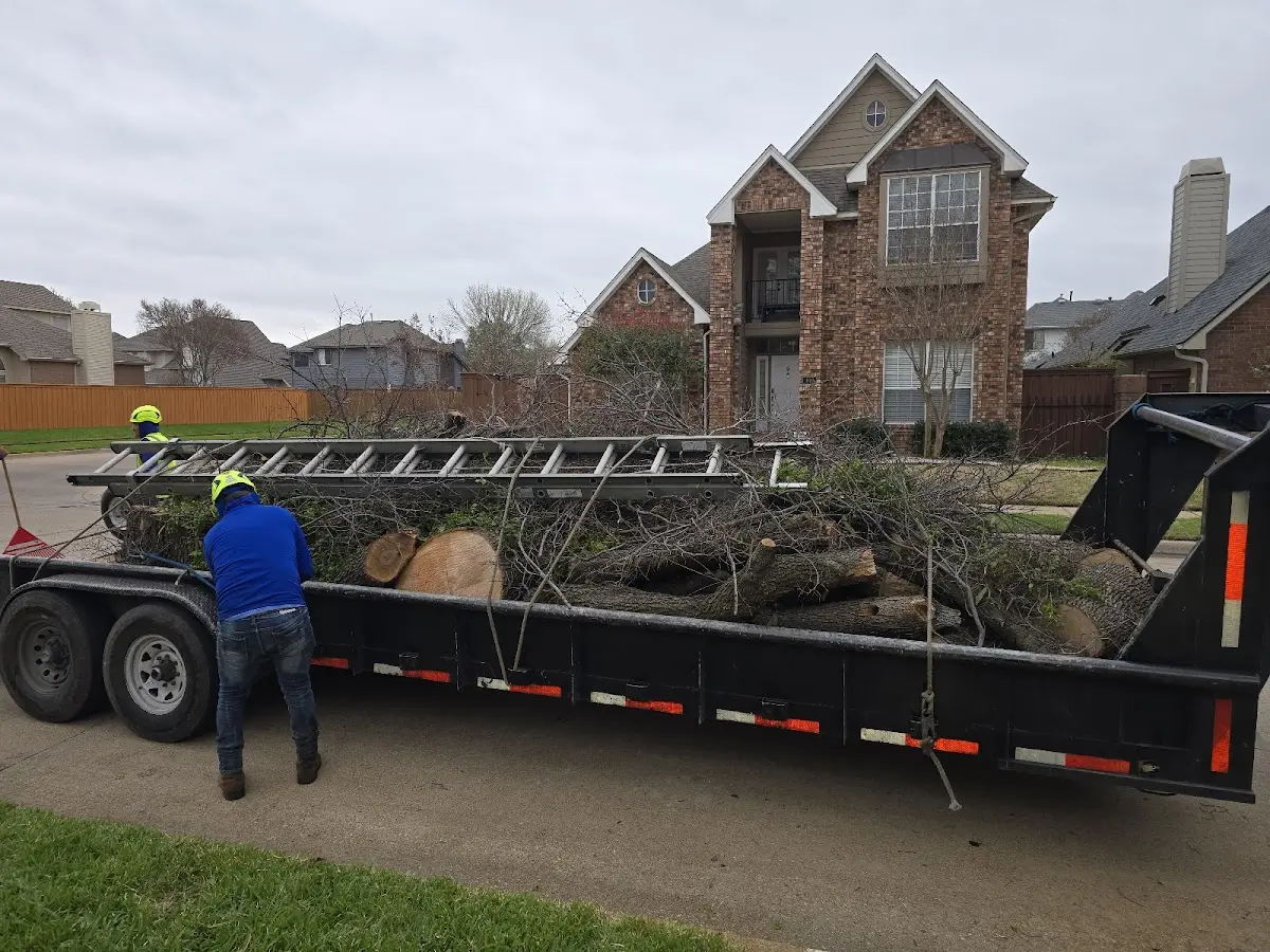 Expert Tree Removal with proper safety equipment in Newton